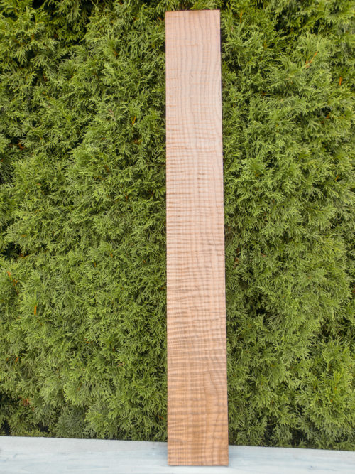 Tempered Maple - Bass Neck Blank - 5A Flame